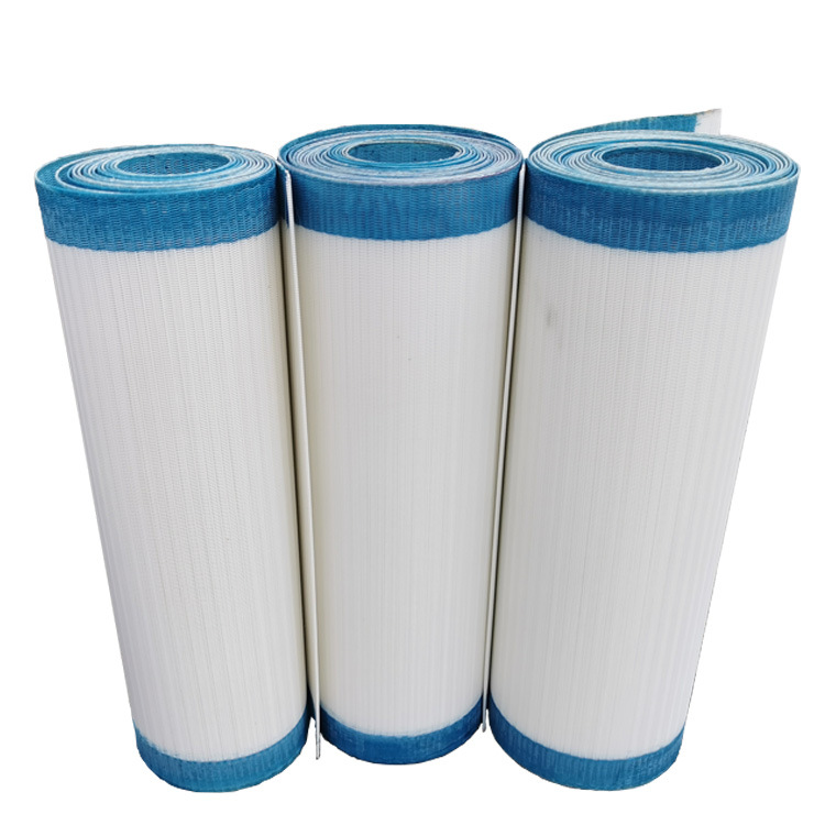 Polyester Mesh Belt