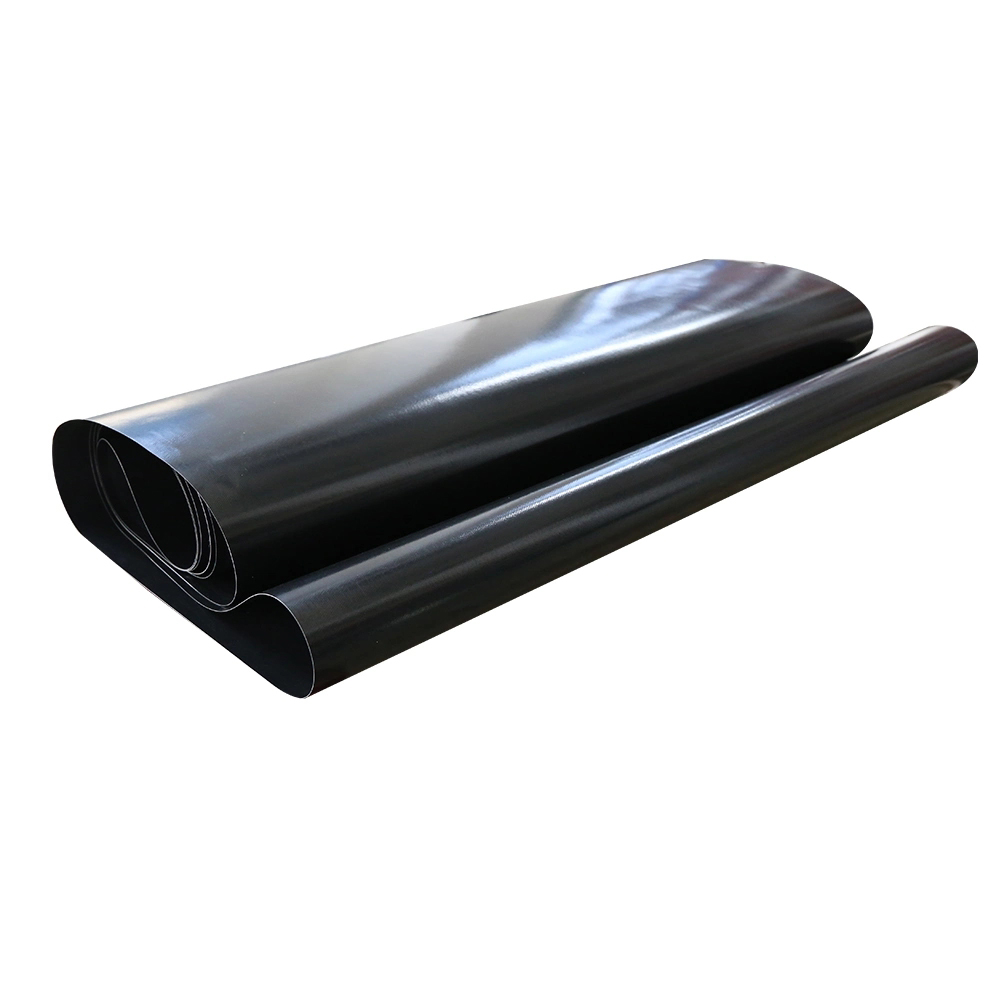 PTFE Seamless Belt